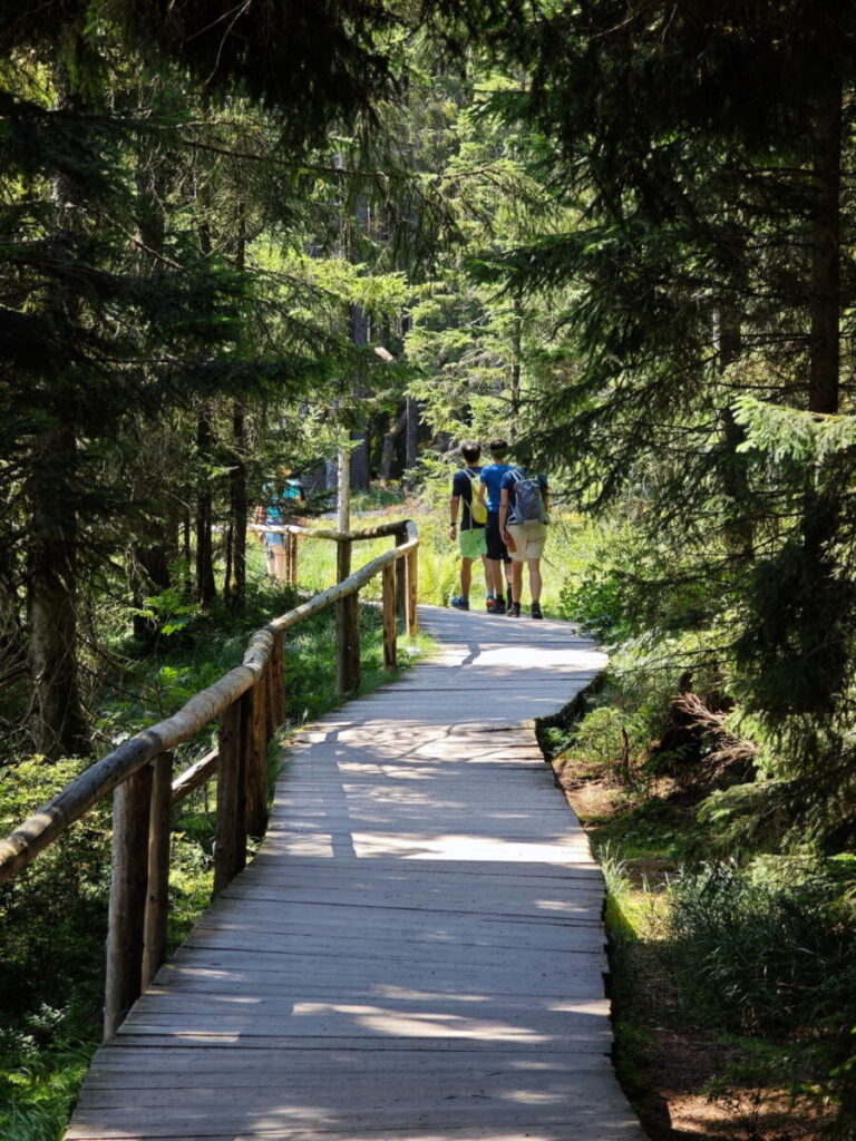 Großer Arbersee Rundweg - teilweise geht es über Bohlen durch das Moor