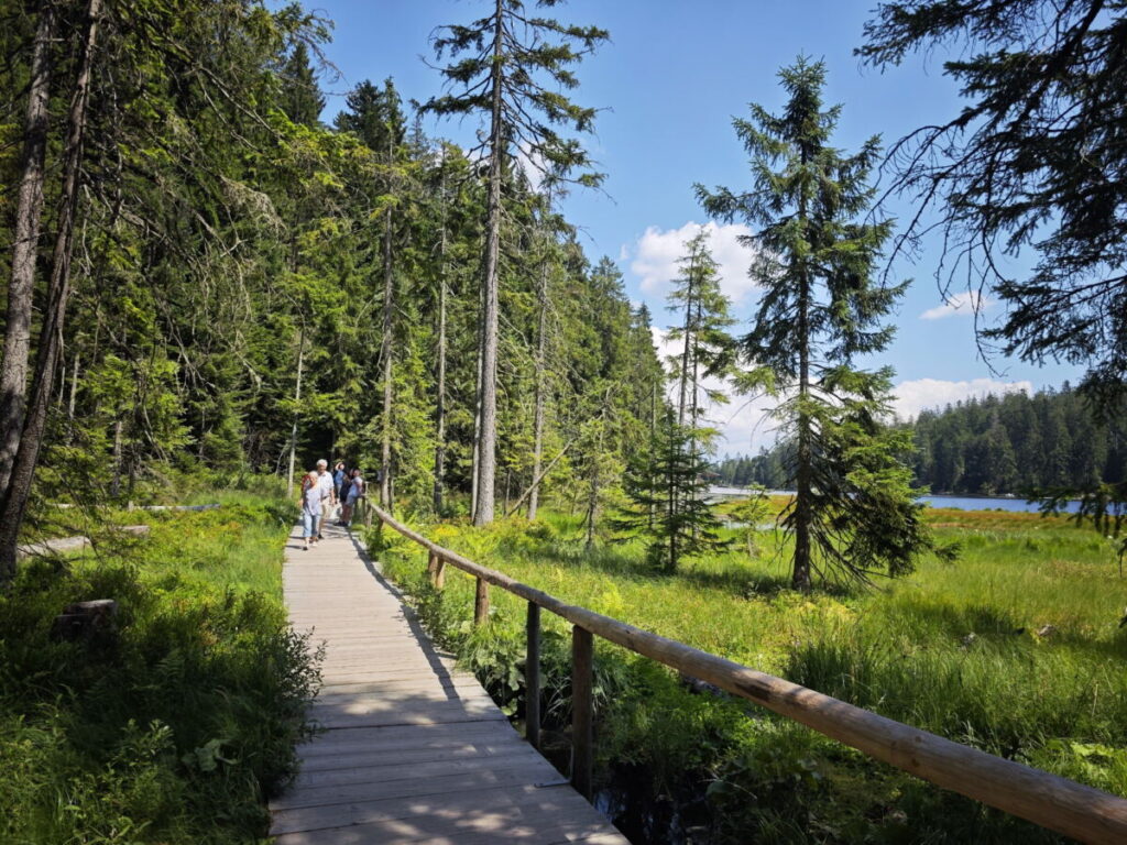 Die leichte Arbersee Wanderung ist ein beliebter Spaziergang im Bayerischen Wald