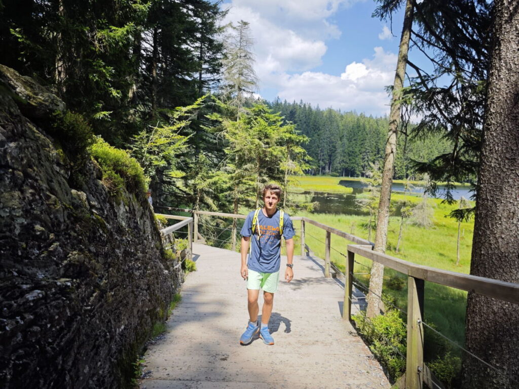 Rundweg Großer Arbersee im Bereich des Westufers