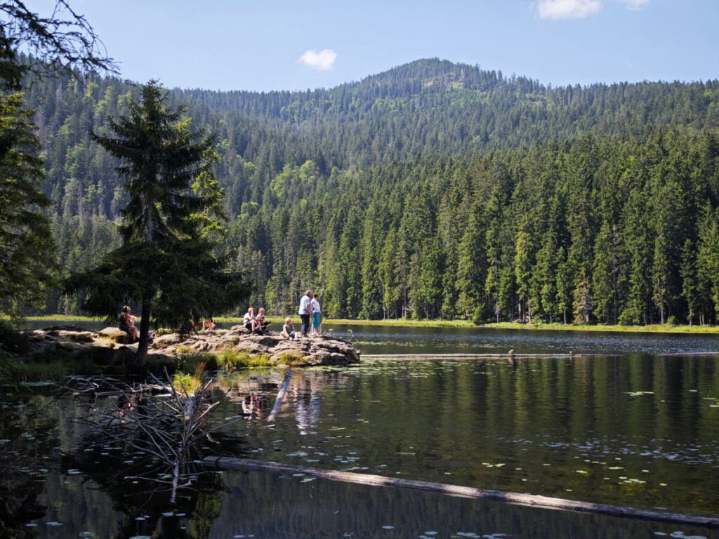 Rundweg Großer Arbersee mit dem beliebten Aussichtspunkt am Felsen