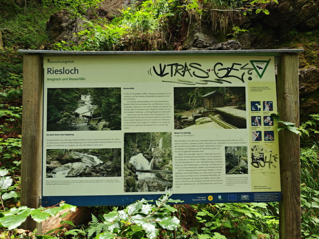 Wissenswertes über das Naturschutzgebiet Riesloch erfährst du rund um die Wasserfälle