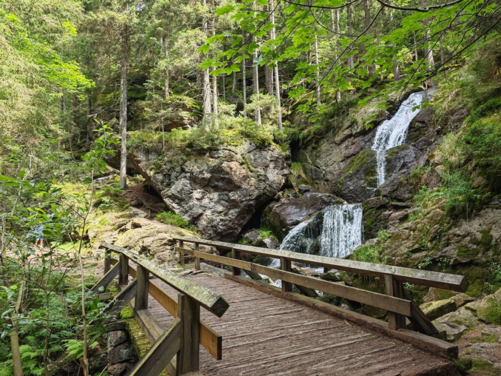 Risslochfälle Bayerischer Wald - das ist der Rückweg über den breiteren Weg