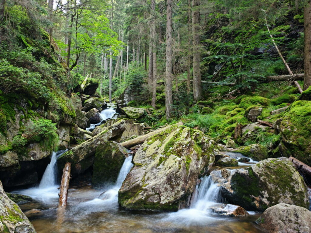 Die Risslochfälle Wanderung führt dich ganz dicht ans Wasser